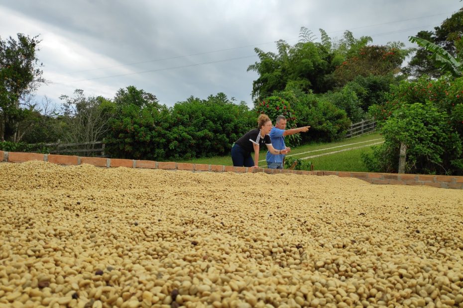 Koffie finca Colombia bezoeken