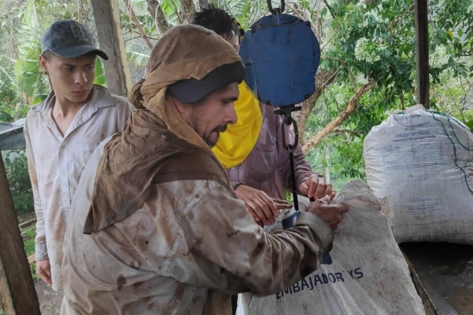 Coffee region Colombia