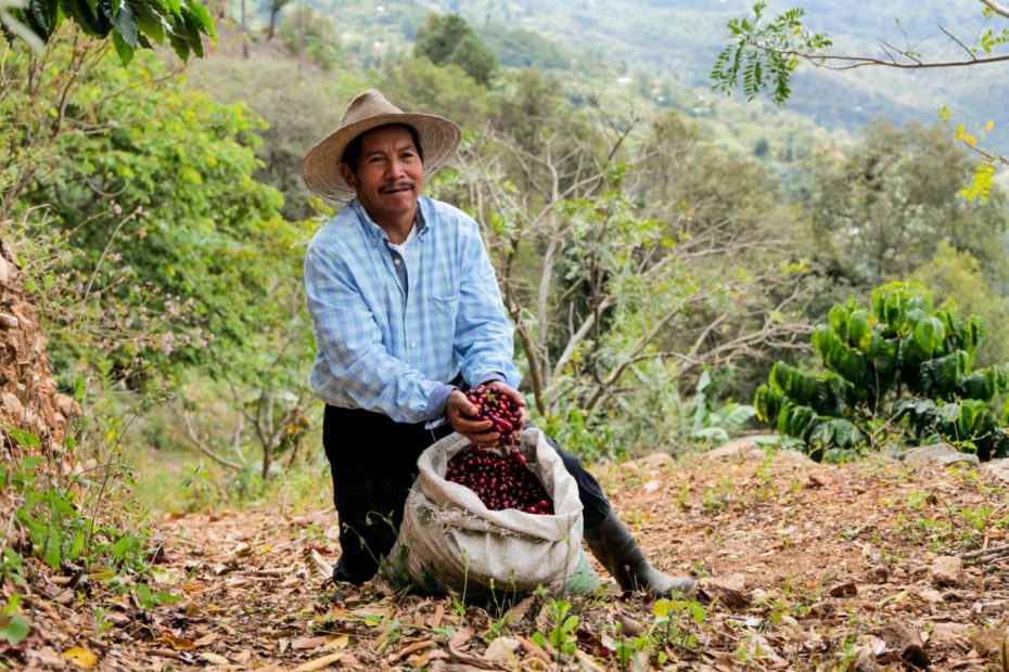 Producer of farmer