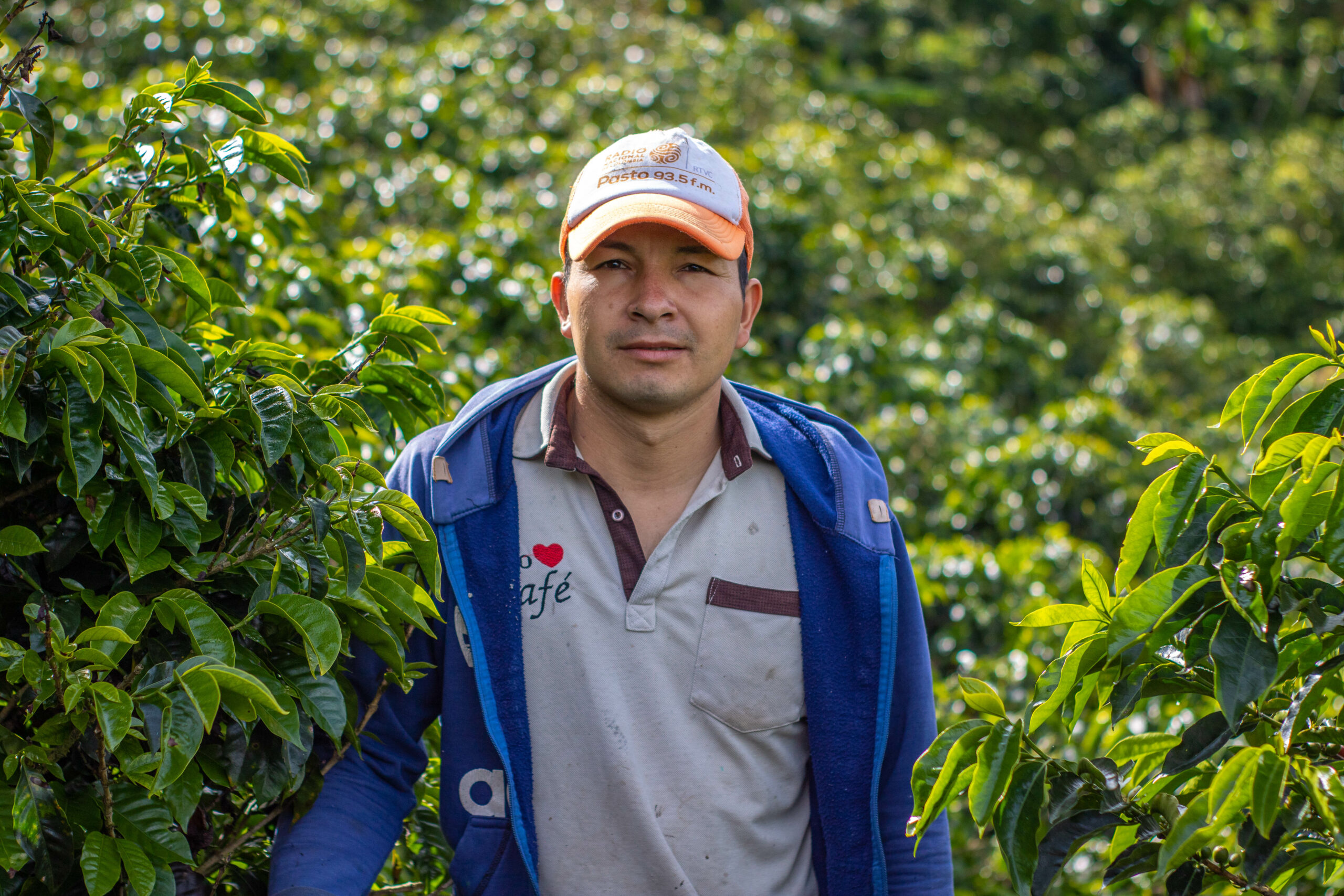 Green Coffee Importers | El Cajon | Origin Bridge