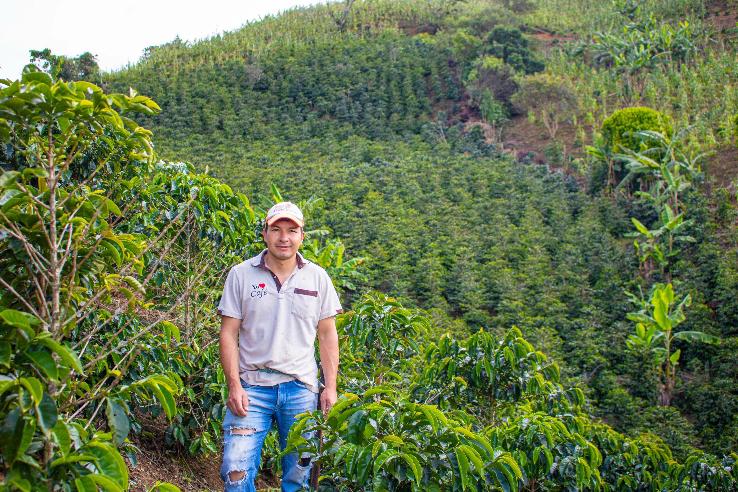 Green Coffee Importers | El Cajon | Origin Bridge