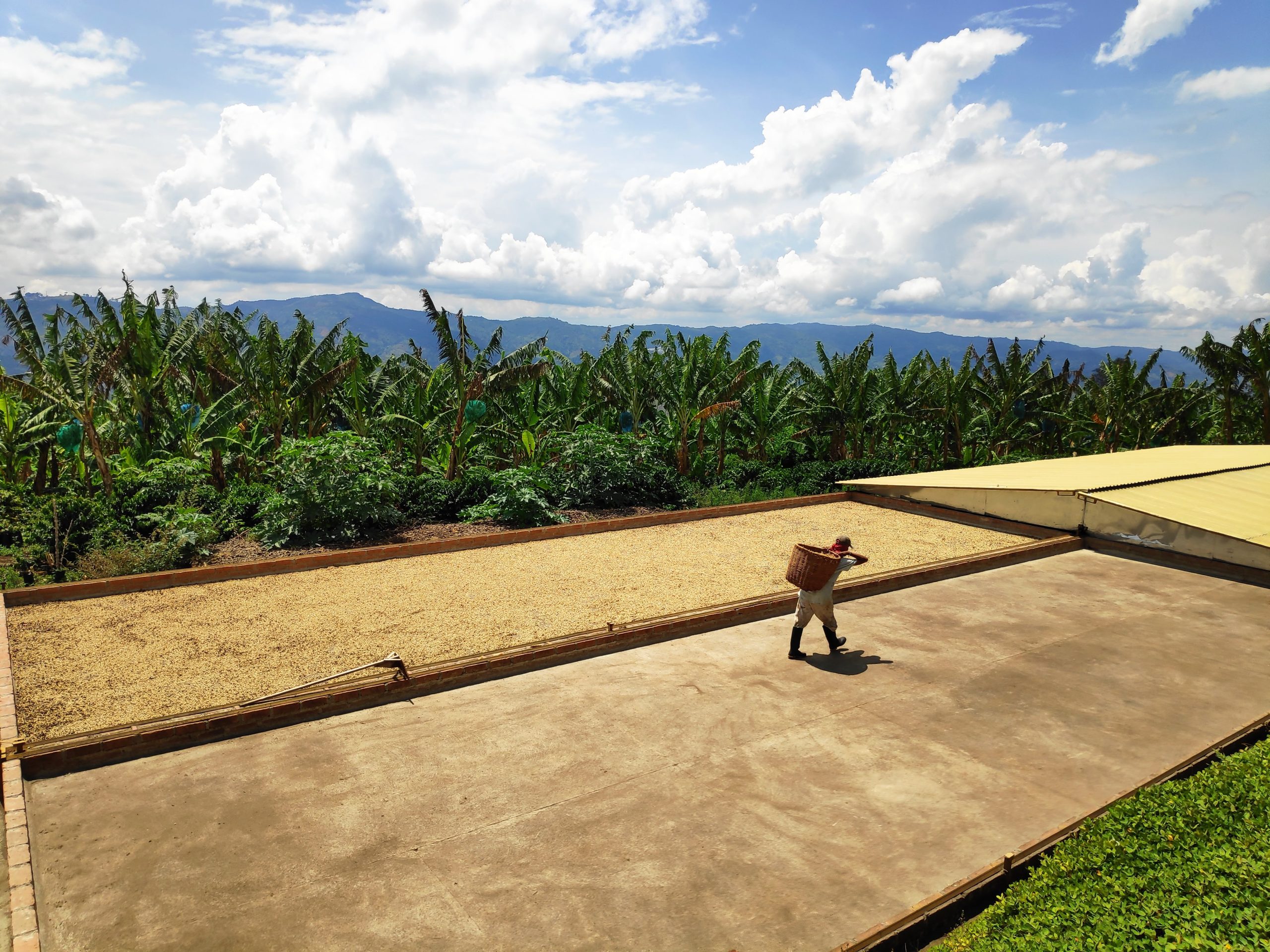 Origin Bridge Colombia